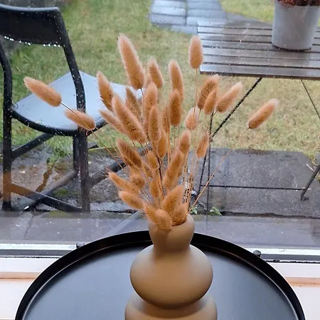 Apartment - Garden Reykjavik